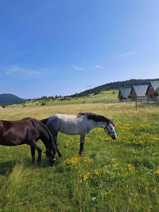 Vule Bungalovi Žabljak Zewnętrze zdjęcie